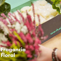 Pack ahorro 72 cápsulas de detergente ecológico para ropa, cero plásticos.